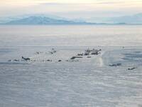 Planes In McMurdo.JPG